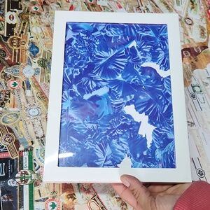 Davidoff  Limited Art Edition 'NATURE REIMAGINED'